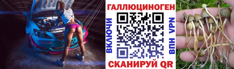 Галлюциногенные грибы Magic Shrooms  Сергач 